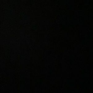 Meet your Posher, Tavi